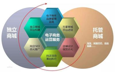 電子商務(wù)專業(yè) 實(shí)業(yè)運(yùn)營(yíng)與建設(shè)的就業(yè)新藍(lán)圖